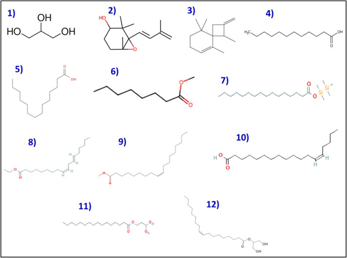 Figure 8