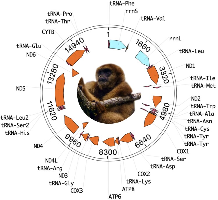 Figure 2