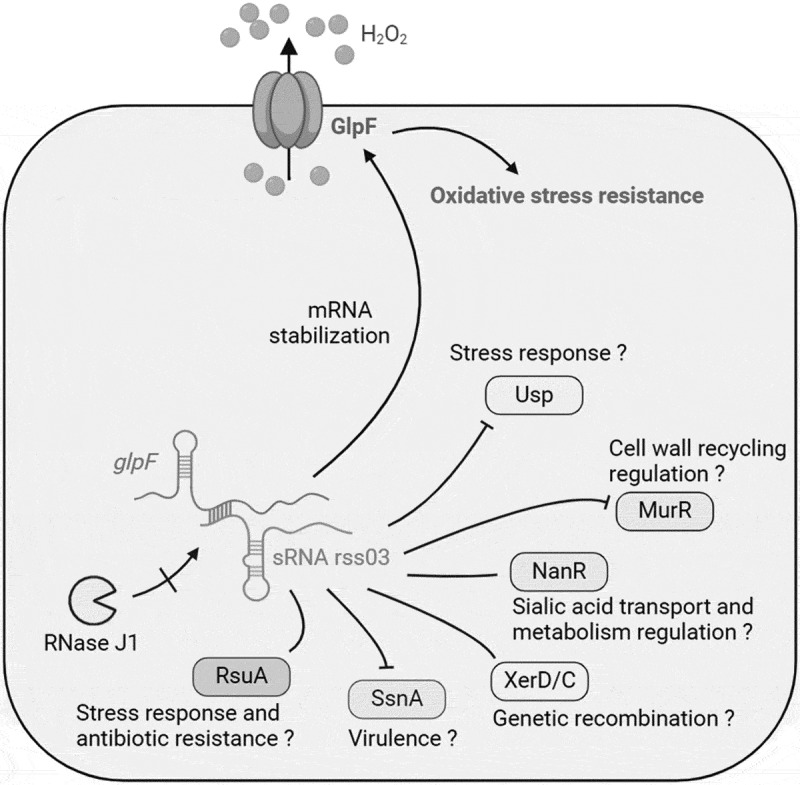 Figure 14