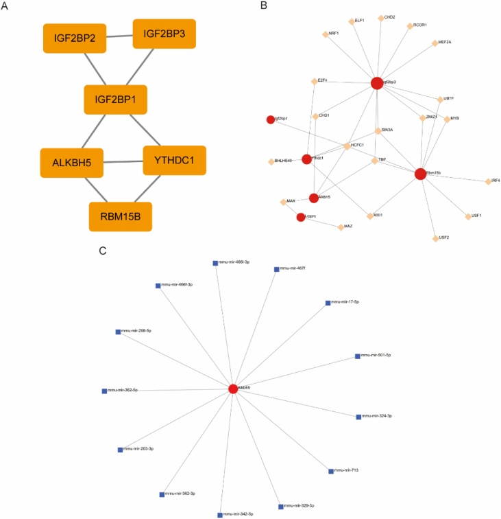 Figure 11