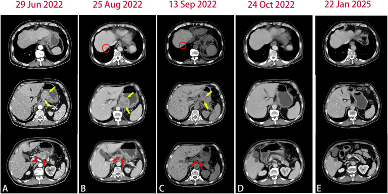 Figure 1