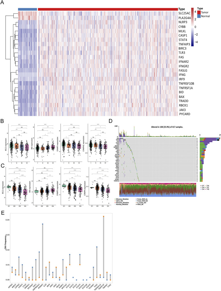 FIGURE 2