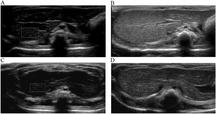 FIGURE 4