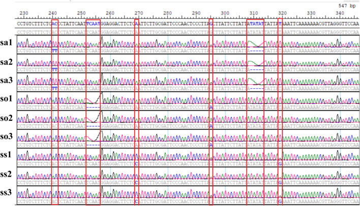 Figure 9