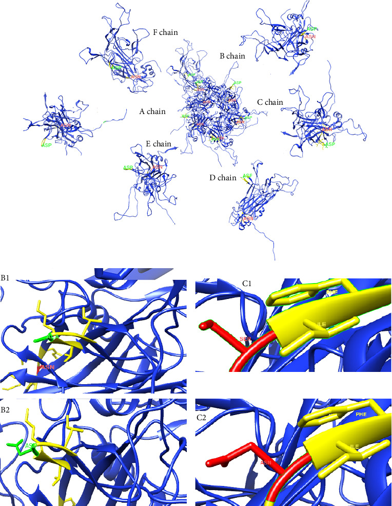 Figure 6