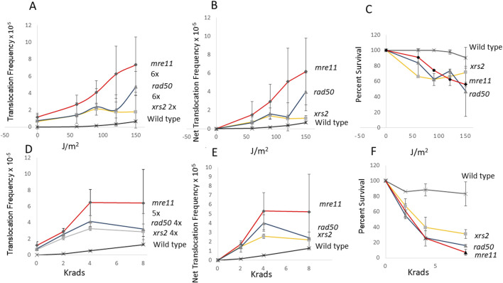 FIGURE 3