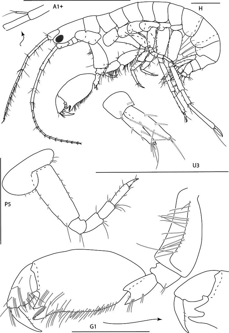 Figure 9