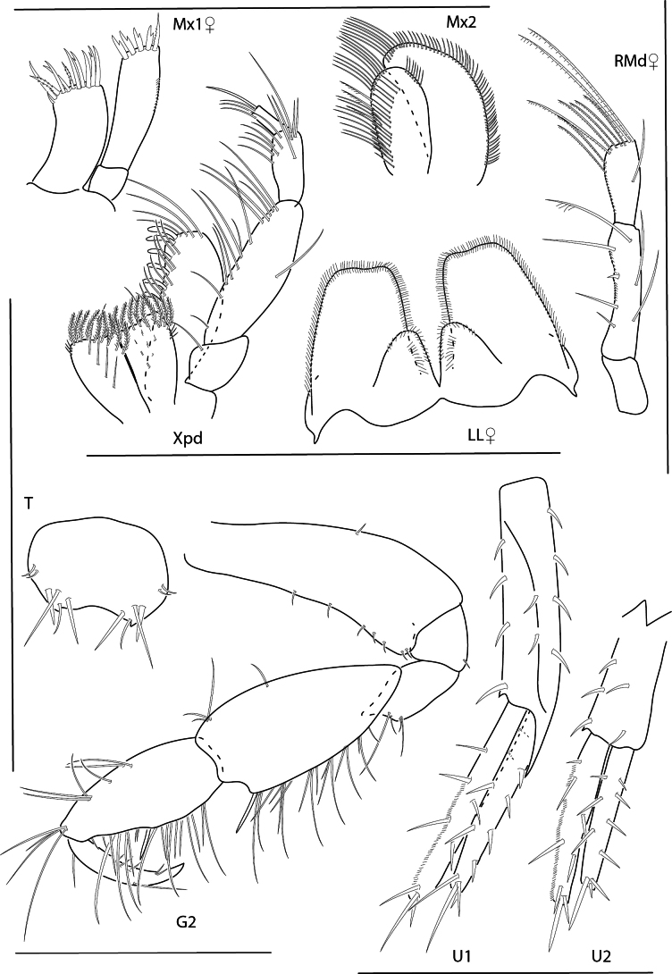 Figure 10
