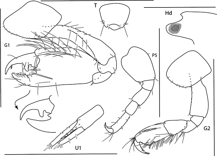 Figure 12