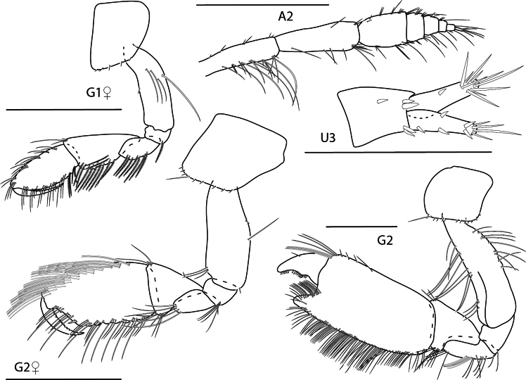 Figure 13