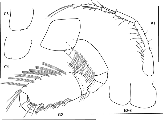 Figure 14