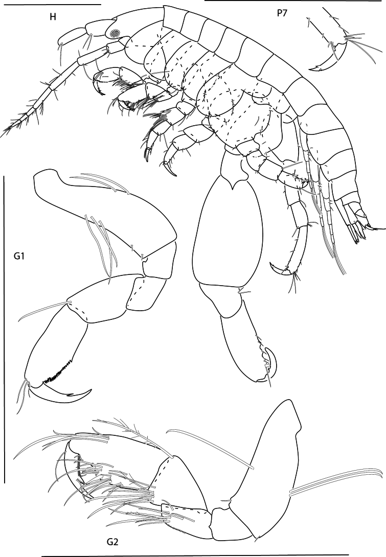 Figure 15