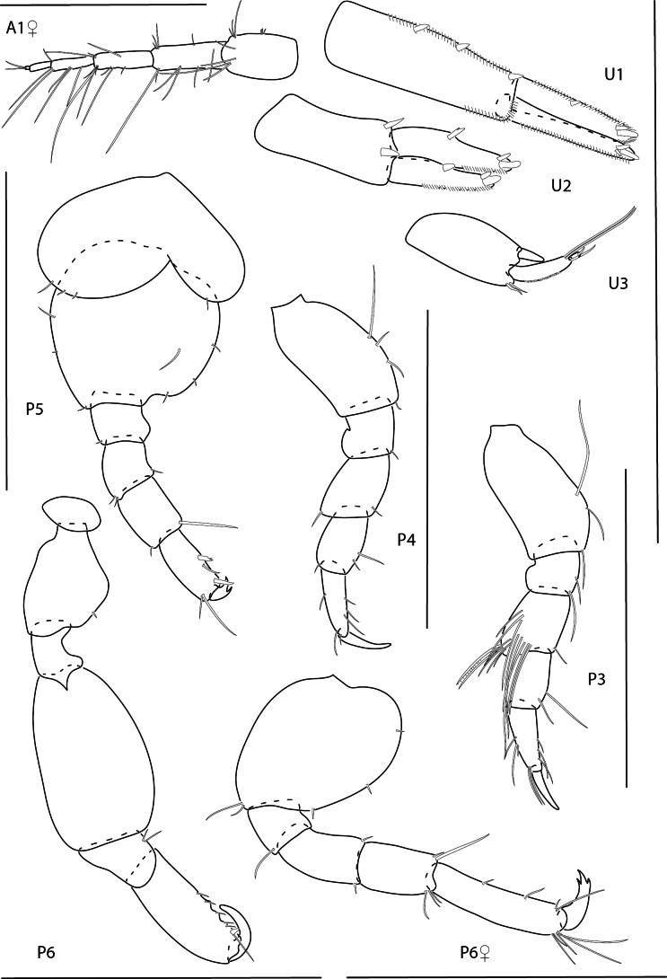 Figure 16