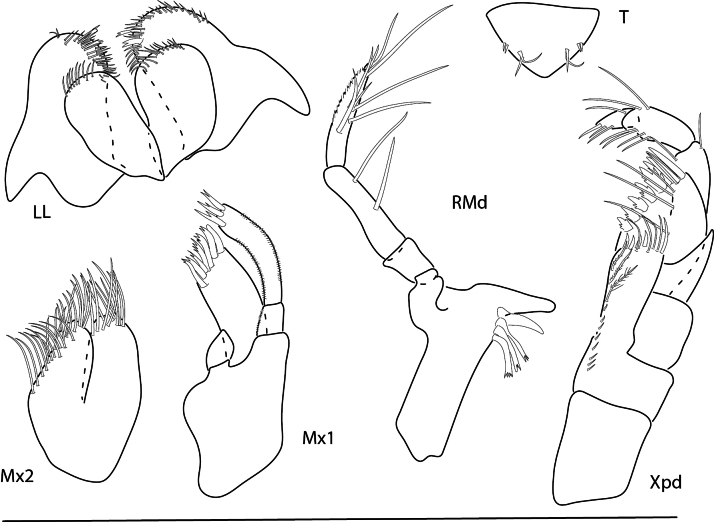 Figure 17