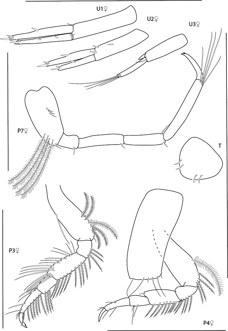 Figure 19