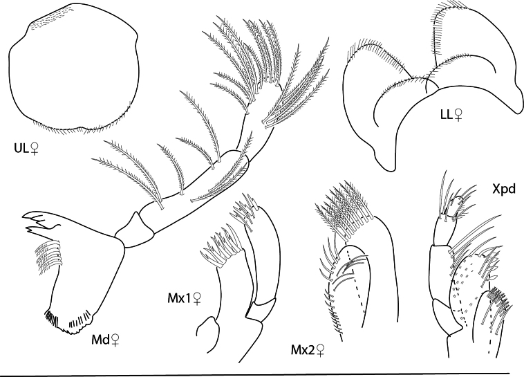 Figure 20