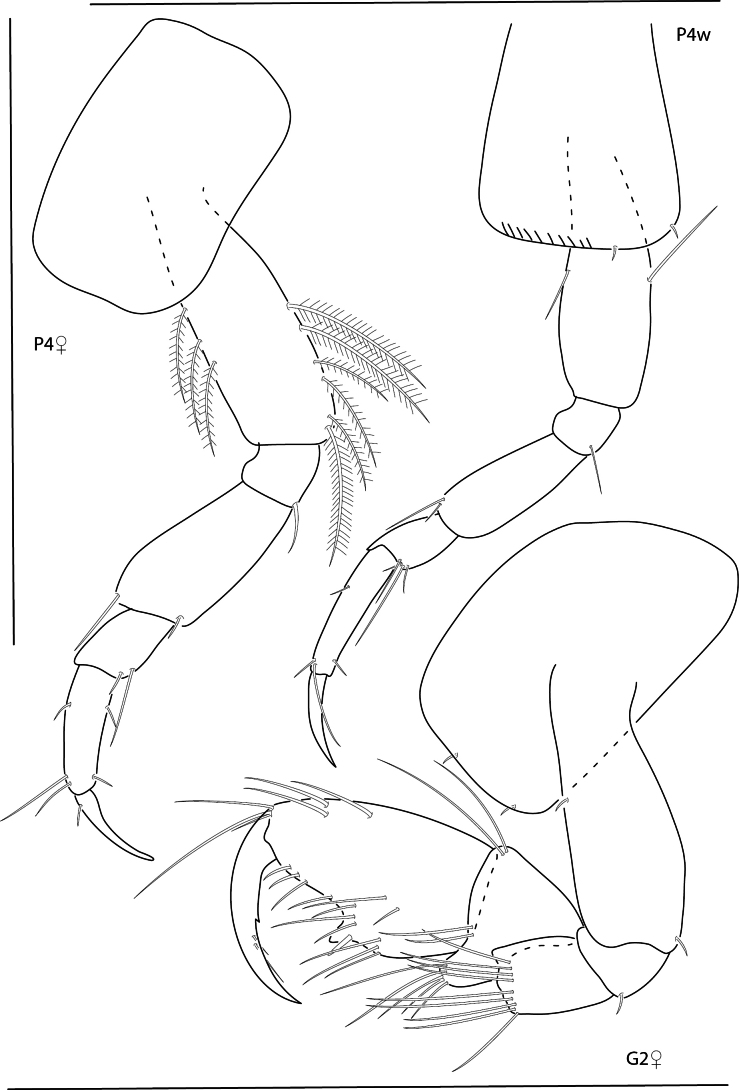 Figure 22