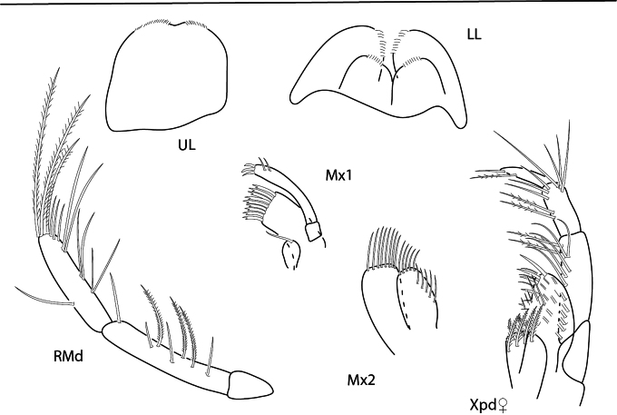 Figure 23