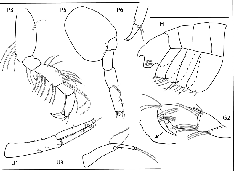 Figure 24