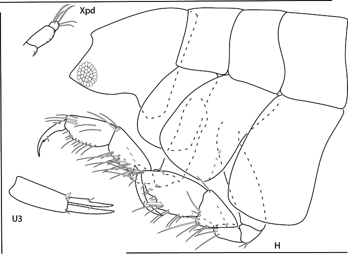 Figure 25