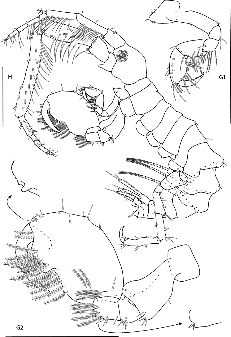 Figure 26