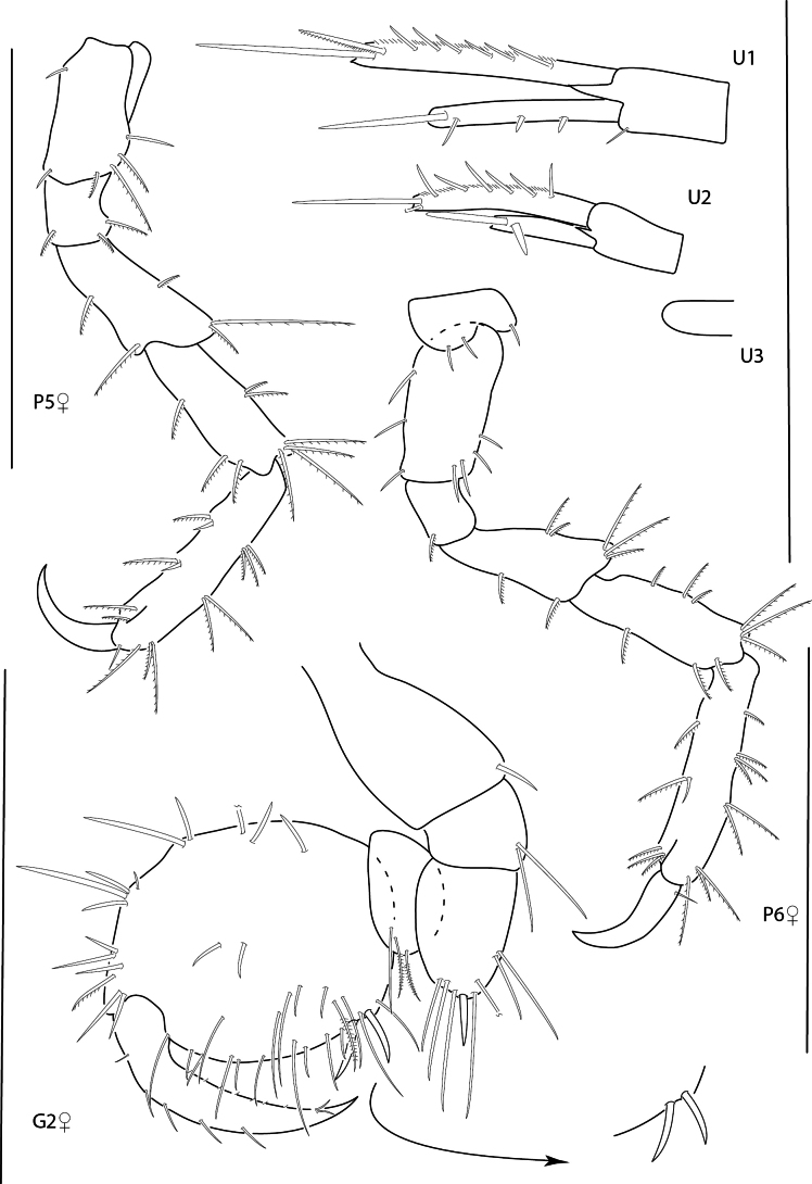 Figure 27