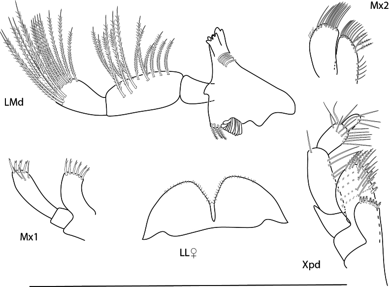 Figure 28