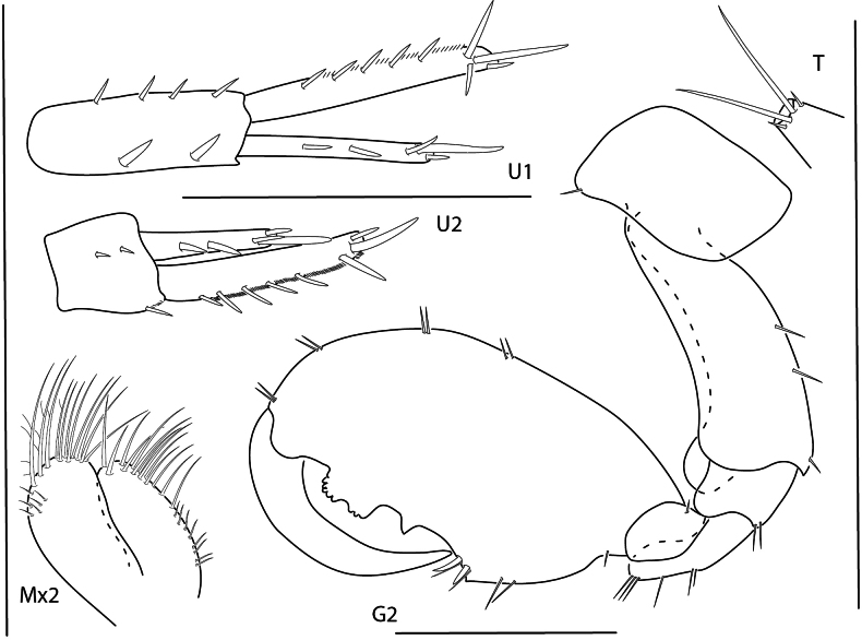 Figure 29