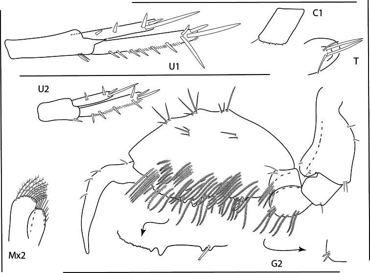 Figure 30