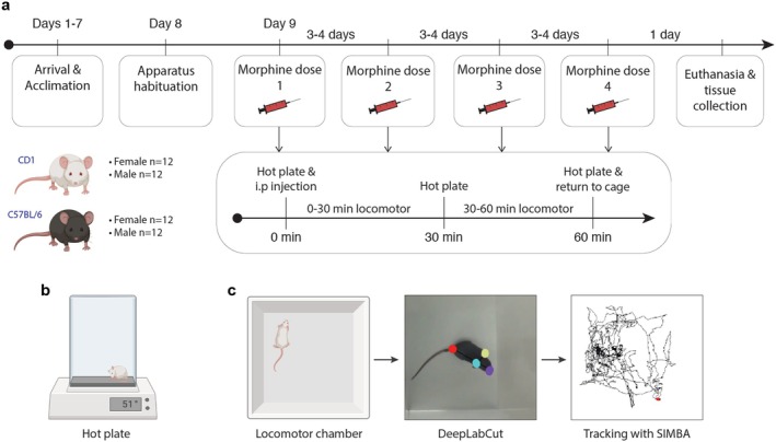 FIGURE 1