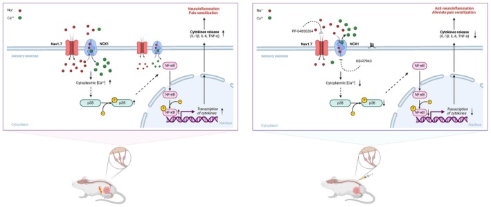 FIGURE 6