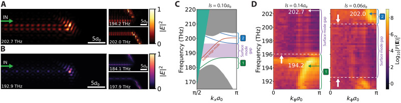 Fig. 2