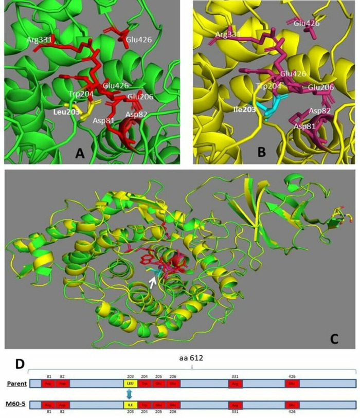Fig 2