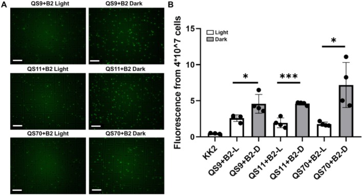 FIGURE 4