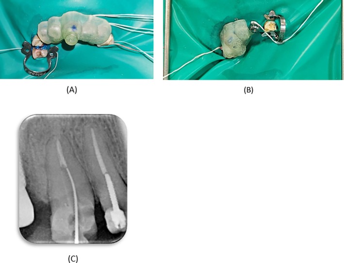 FIGURE 3