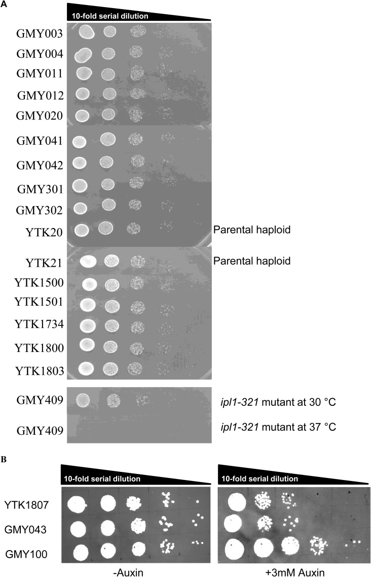 Figure S1