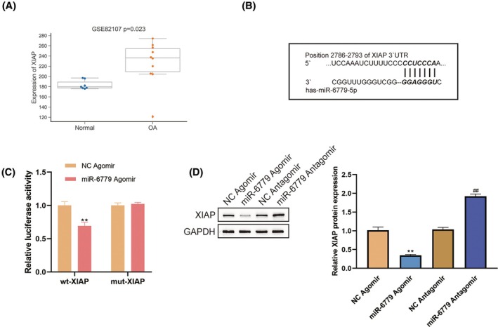 FIGURE 3