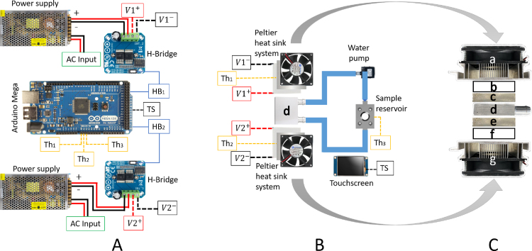 Figure 21
