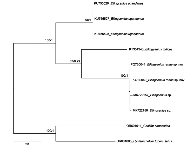 Figure 6
