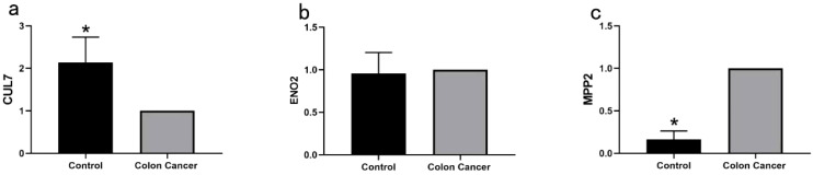 Figure 13