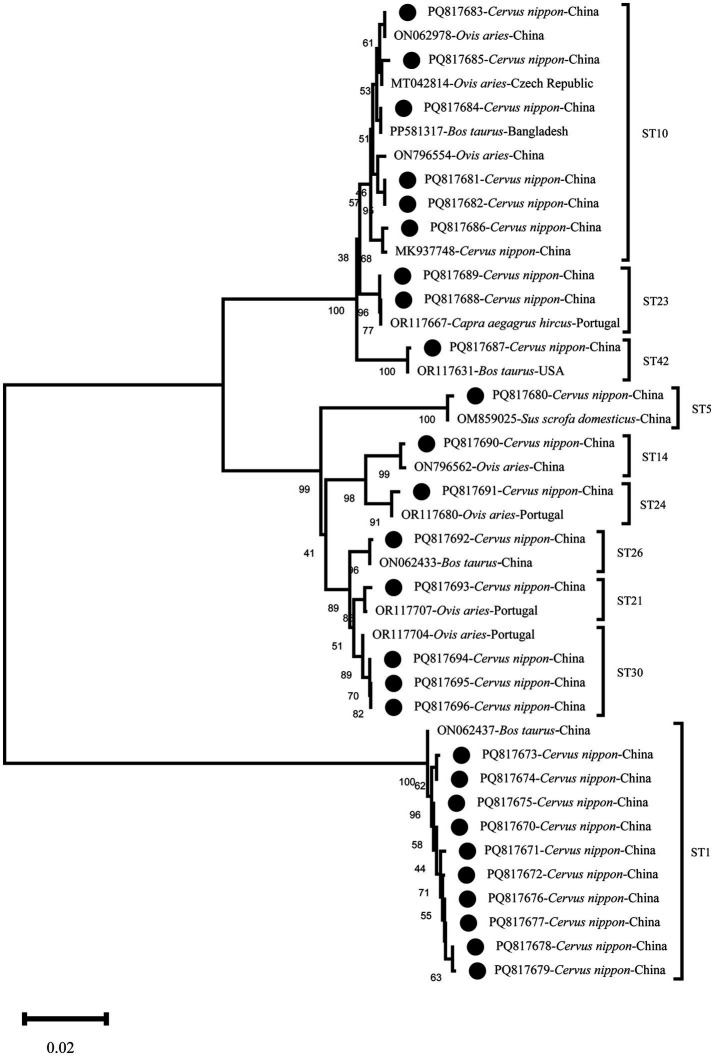 Figure 1