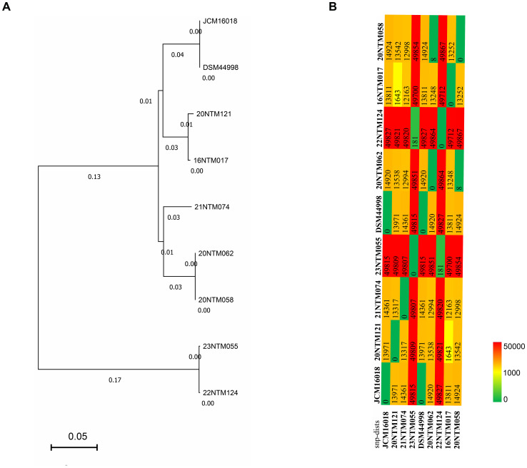 Figure 2
