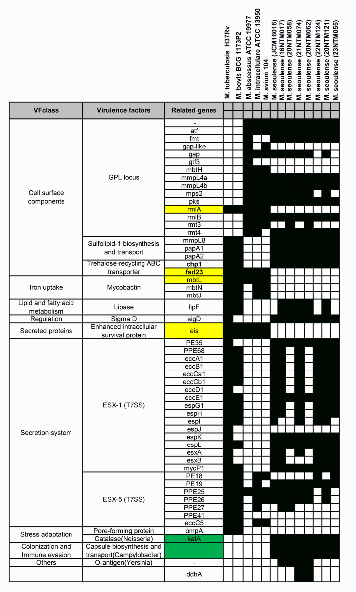 Figure 5