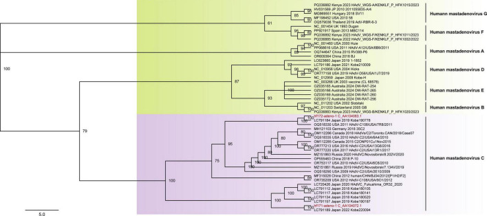 FIGURE 2