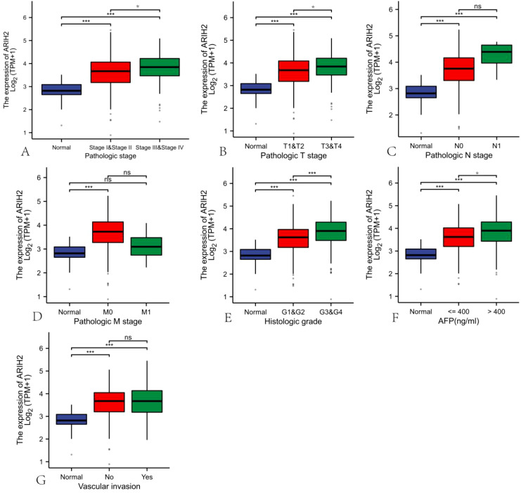 Figure 4