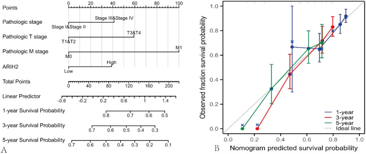 Figure 6