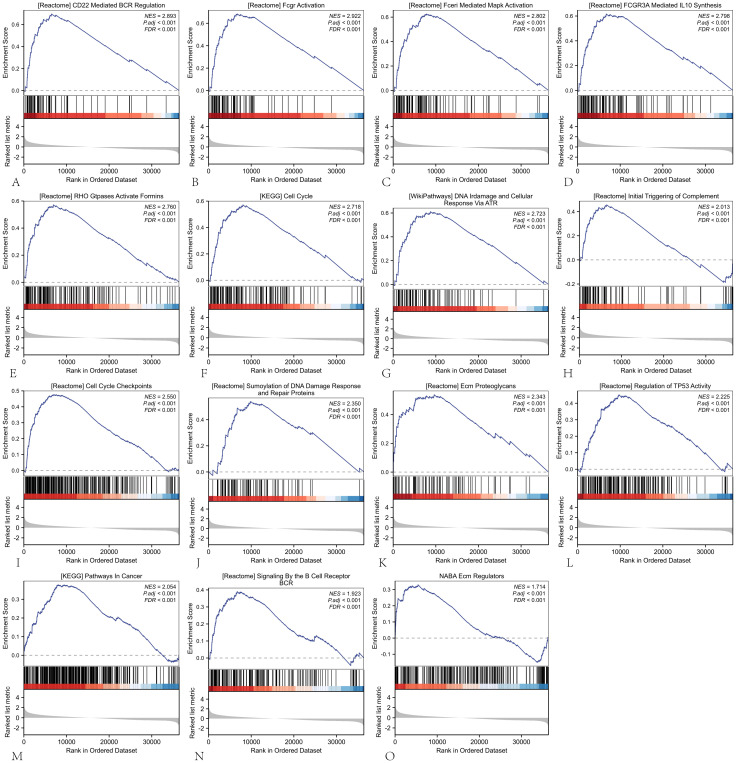 Figure 10