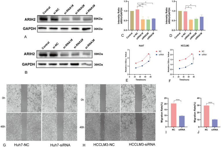 Figure 16
