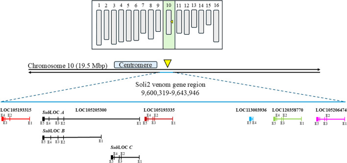 Figure 1