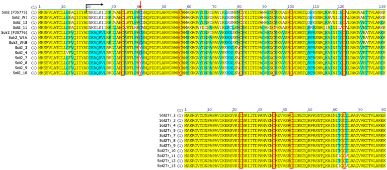 Figure 2